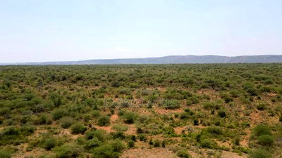 50 Acres on Cliff in Tinga at Per Acre - Image 6