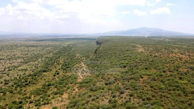 50 Acres on Cliff in Tinga at Per Acre - Image 11