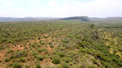 50 Acres on Cliff in Tinga at Per Acre - Image 8