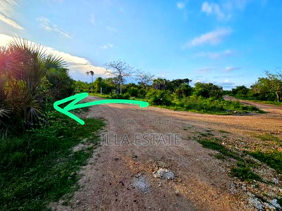 Vacant Lot, 2nd Row - Image 2