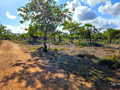 Vacant Lot, 2nd Row - Image 3