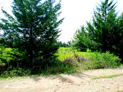 Land on Sale - Image 4