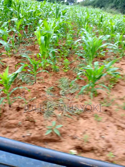 10 Acres Mlolongo Makueni - Image 1