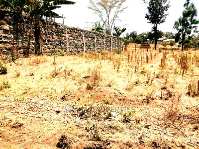50*100 Plot for Sale in Kiamunyi - Image 3