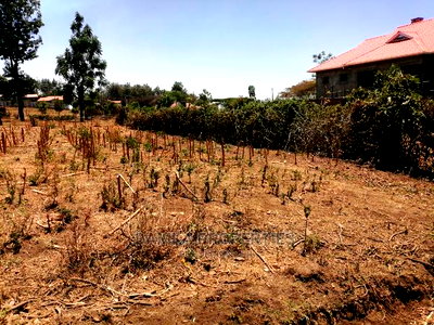 50*100 Plot for Sale in Kiamunyi - Image 1