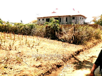 50*100 Plot for Sale in Kiamunyi - Image 4