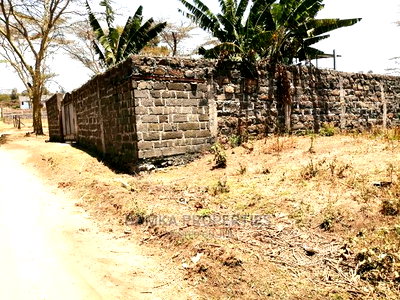 50*100 Plot for Sale in Kiamunyi - Image 2