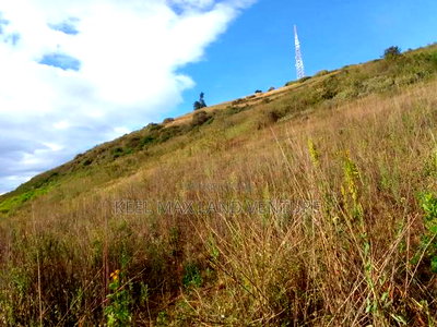 Prime Acres for Sale - Image 2