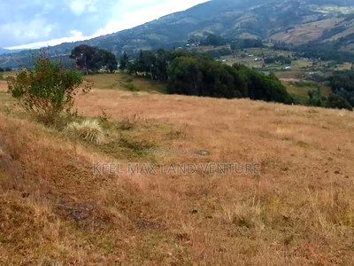 Prime Acres for Sale - Image 3