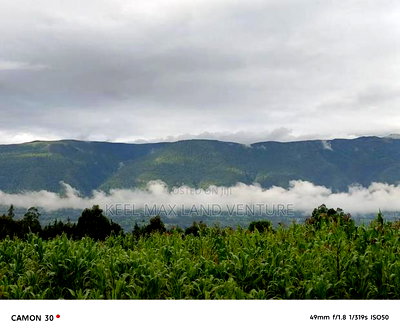 Prime Acres for Sale - Image 8