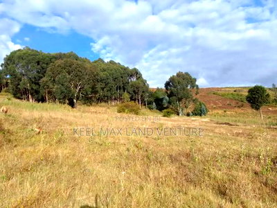 Prime Acres for Sale - Image 4