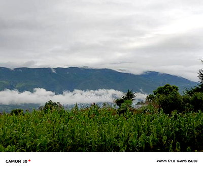 Prime Acres for Sale - Image 7