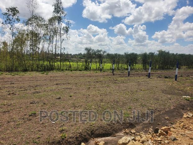 Lipa Mdogo Mdogo Kamulu Plots.