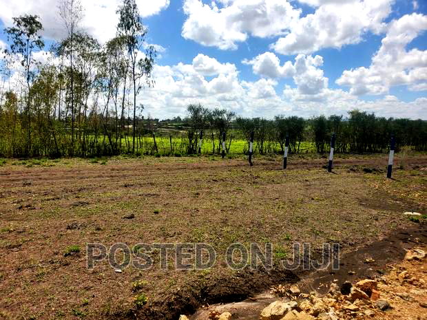 Lipa Mdogo Mdogo Kamulu Plots.