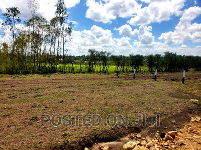 Lipa Mdogo Mdogo Kamulu Plots. - Image 2