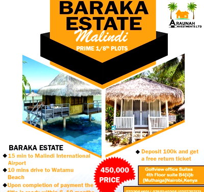 1/8 Acre Commercial Plot