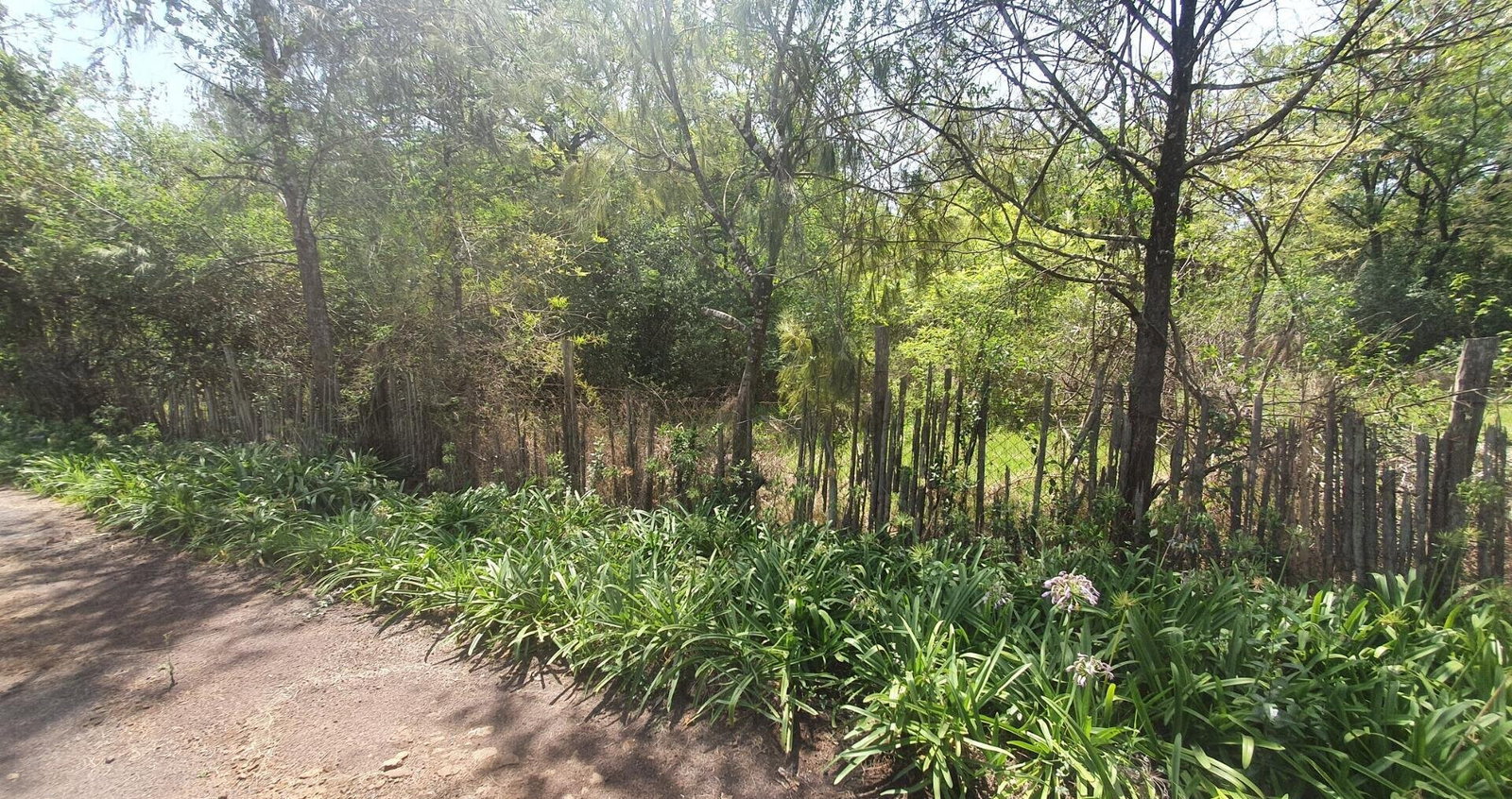 Half-Acre Townhouse on Ndege Road – Ready for Redevelopment
