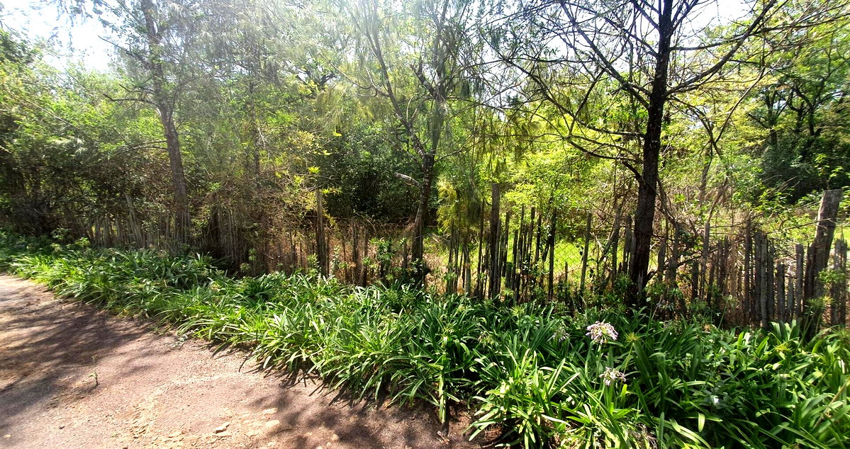 Half-Acre Townhouse on Ndege Road – Ready for Redevelopment