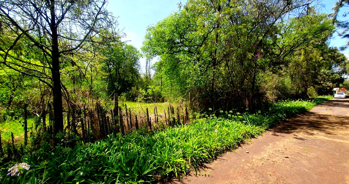 Half-Acre Townhouse on Ndege Road – Ready for Redevelopment