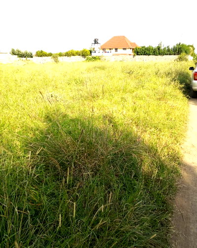 1 Acre Plot at KSh 2.5M
