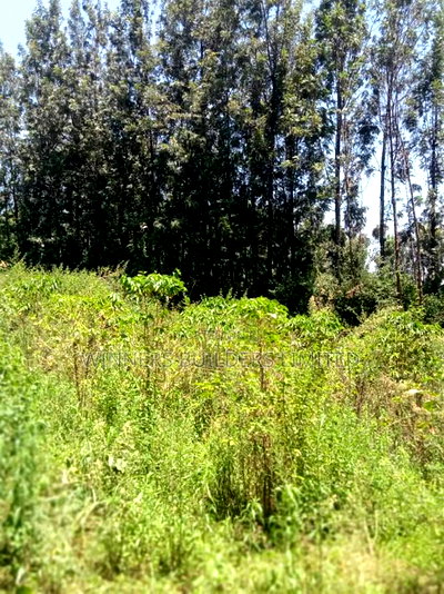 1/2 Acre for Sale - Image 4