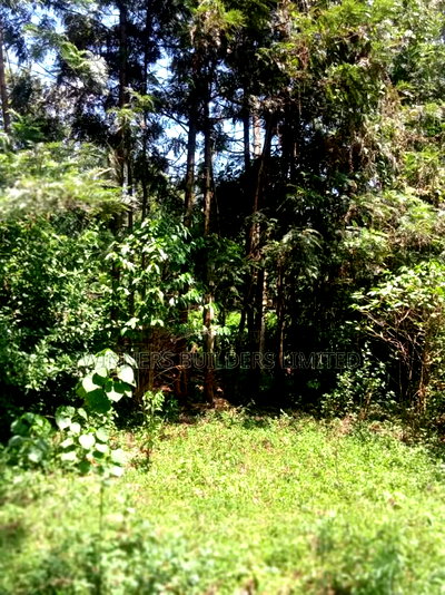 1/2 Acre for Sale - Image 5