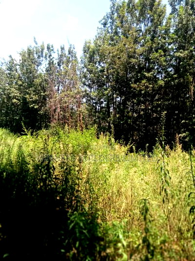 1/2 Acre for Sale - Image 9