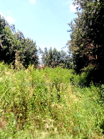 1/2 Acre for Sale - Image 7