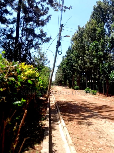 1/2 Acre for Sale - Image 1