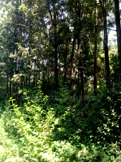 1/2 Acre for Sale - Image 6