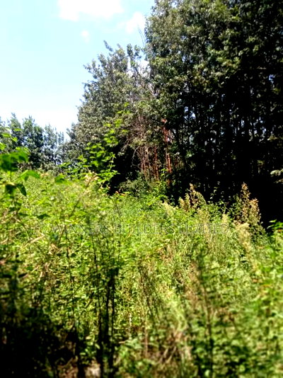 1/2 Acre for Sale - Image 8