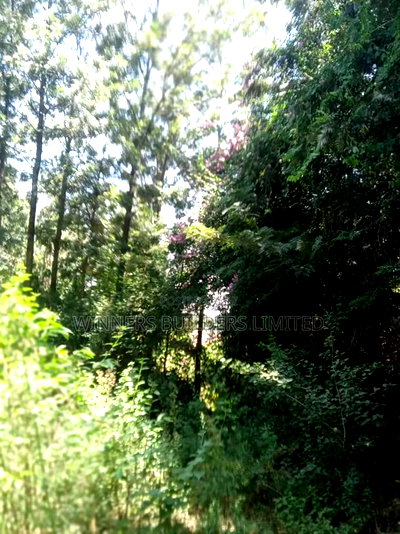 1/2 Acre for Sale - Image 3