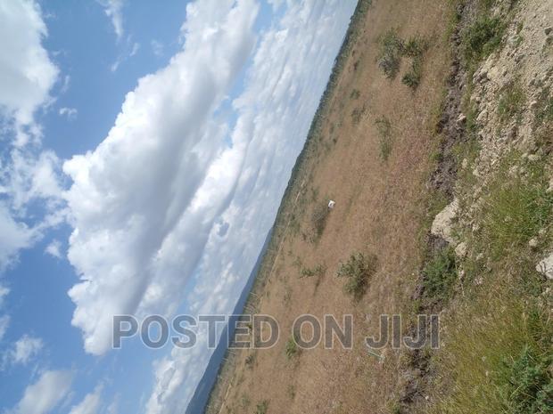 Ready to Build (Kamulu)