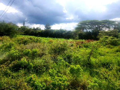 Quarter Acre Rimpa, Off Magadi Road - Image 3