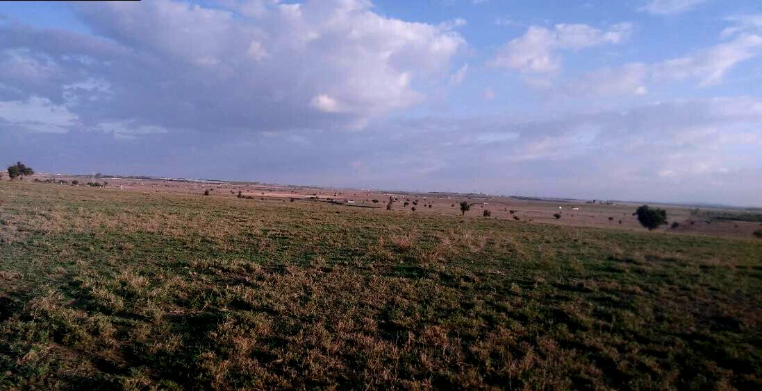 10-Acre Plot for KSh 38M
