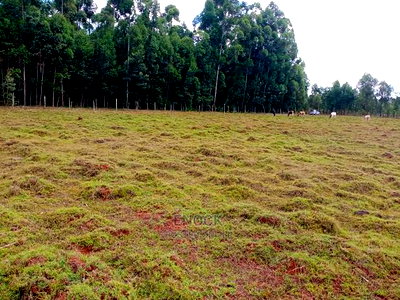 1/4 Acre Plots for Sale in Kapseret-St Georges - Image 2