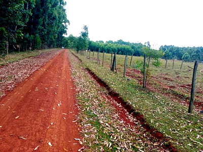 1/4 Acre Plots for Sale in Kapseret-St Georges - Image 1