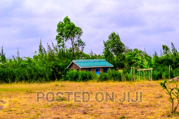 50 by 100 Plots in Juja Farm