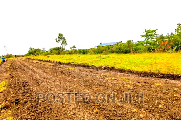 Affordable Plots in Ruiru Kamakis