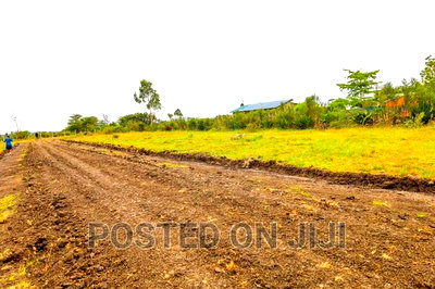 Affordable Plots in Ruiru Kamakis - Image 5