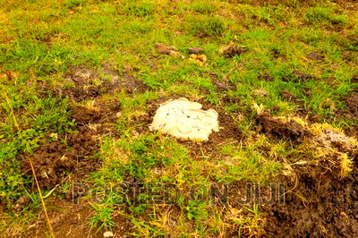 Affordable Plots in Ruiru Kamakis - Image 4