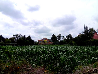 1/4 Acre Land for Sale in Kitengela - Image 1