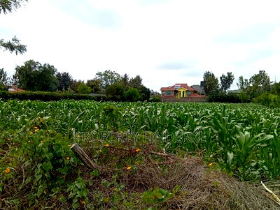 1/4 Acre Land for Sale in Kitengela - Image 3