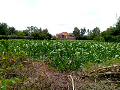 1/4 Acre Land for Sale in Kitengela - Image 2