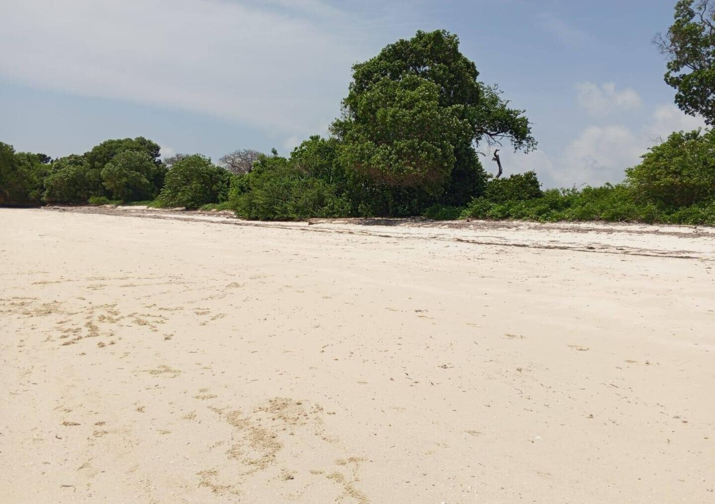 3.5-Acre Plot for KSh 85M