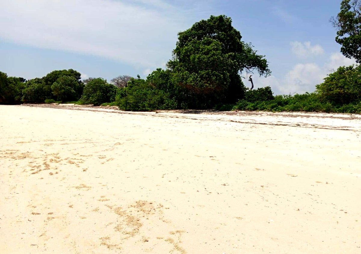 3.5-Acre Plot for KSh 85M