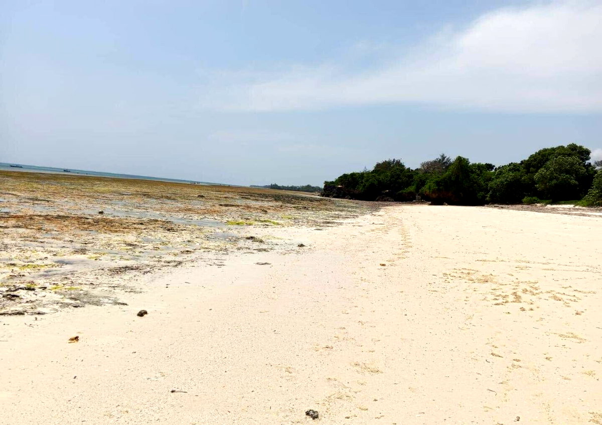 3.5-Acre Plot for KSh 85M