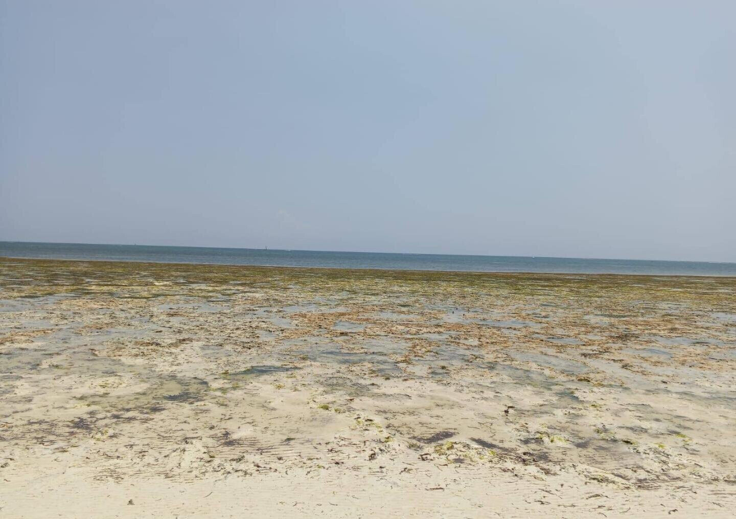 3.5-Acre Plot for KSh 85M