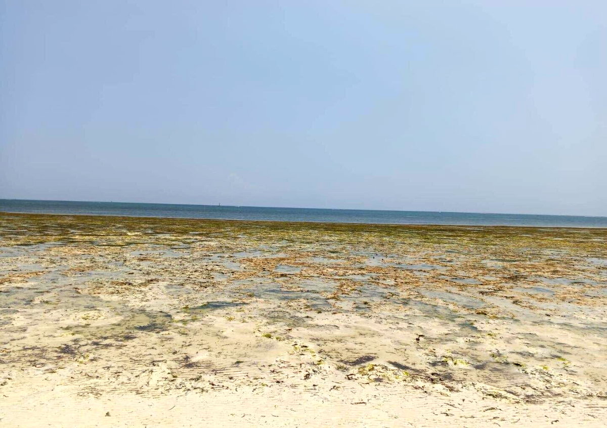 3.5-Acre Plot for KSh 85M