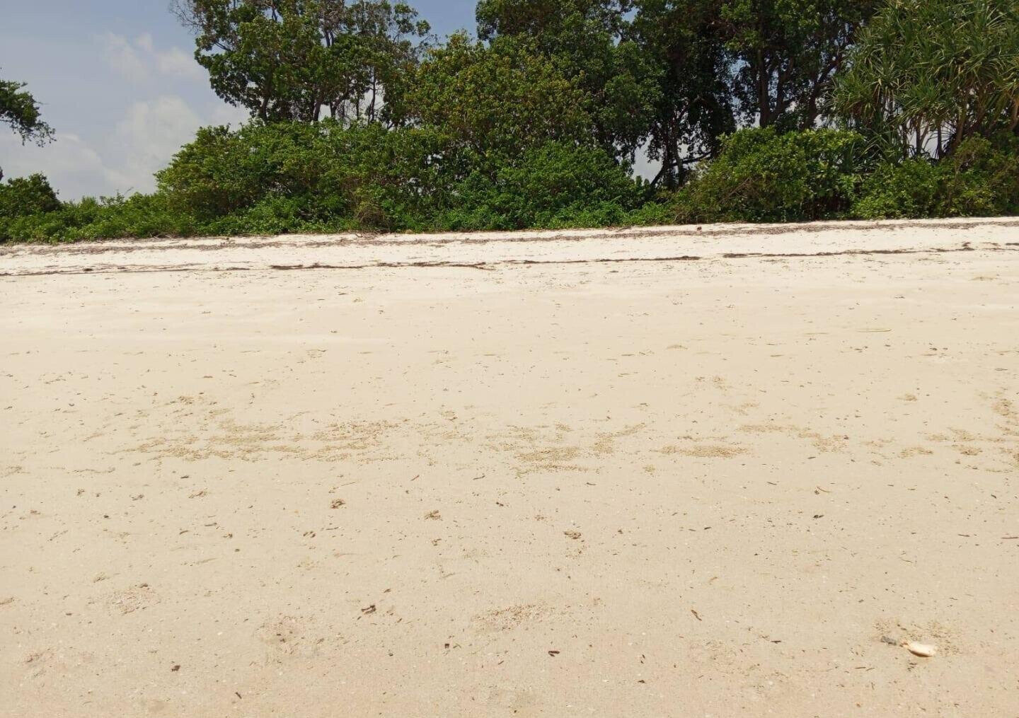 3.5-Acre Plot for KSh 85M